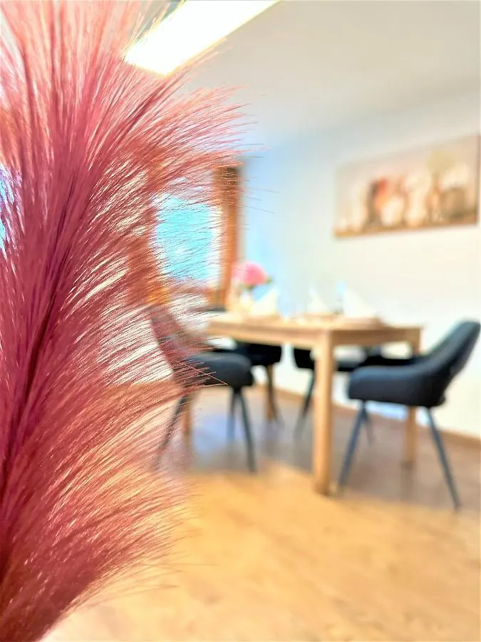 Big Apartment For Your Dream Vacation Bavarian Forest + Netflix Schofweg